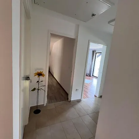 Rajic Apartment